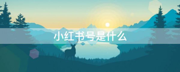 小红书号是什么