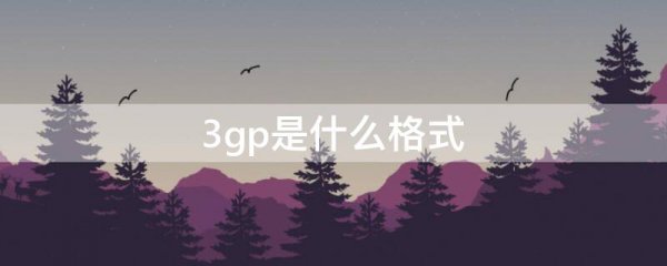 3gp是什么格式