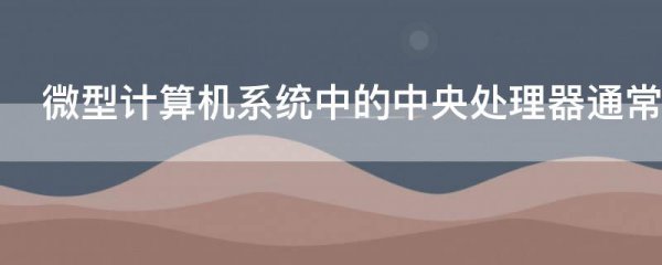 微型计算机系统中的中央处理器通常是指