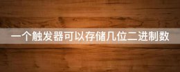 一个触发器可以存储几位二进制数 一个触发器可以存储几位二进制数码