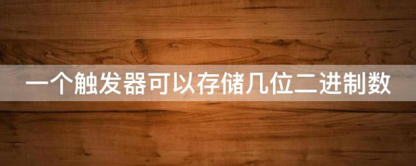 一个触发器可以存储几位二进制数