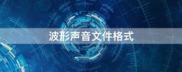 波形声音文件格式 波形声音文件格式是