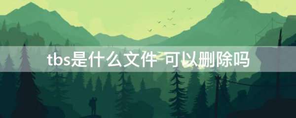 tbs是什么文件 可以删除吗