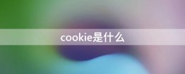 cookie是什么 cookie是什么意思英语