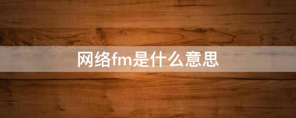 网络fm是什么意思