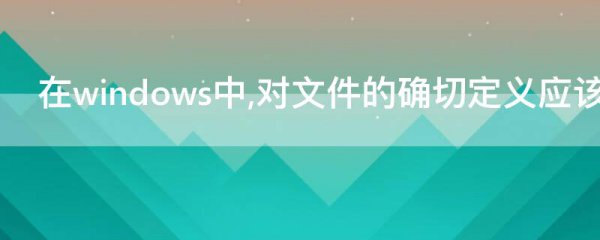 在windows中,对文件的确切定义应该是