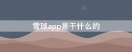 怎样下载雪球app 雪球app是干什么的