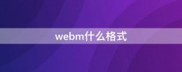 webm什么格式 web是什么格式