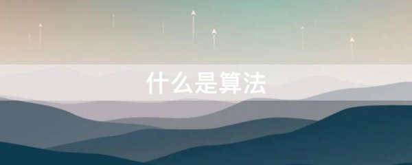什么是算法