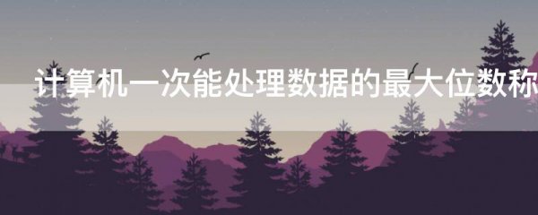 计算机一次能处理数据的最大位数称为该机器的什么