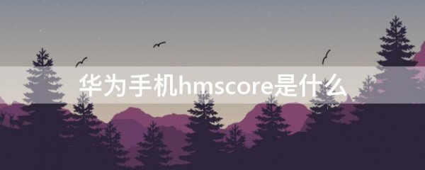 华为手机hmscore是什么