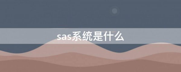 sas系统是什么