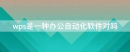 wps属于办公软件吗 wps是一种办公自动化软件对吗