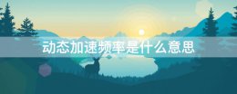 动态加速频率是什么意思 最大加速频率是什么意思