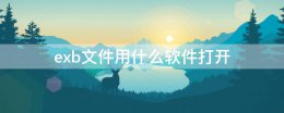 exb文件是什么文件 exb文件用什么软件打开