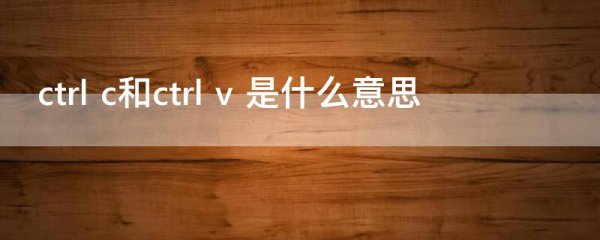 ctrl c和ctrl v 是什么意思