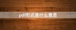 pdf是什么样 pdf形式是什么意思