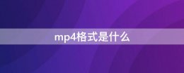mp4格式是什么 mp4格式是什么样子