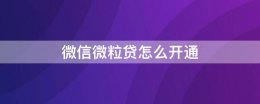 微信微粒贷怎么开通 微信微粒贷怎么开通 微信钱包微粒贷在哪里