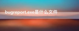 bugreport系统错误 bugreport.exe是什么文件