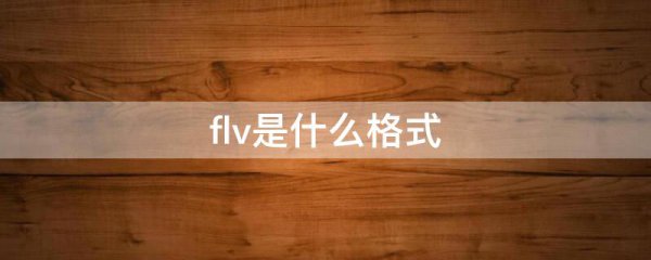 flv是什么格式