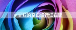 miui12的空白通行证在哪 miui12空白身份证在哪里