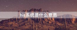 his系统是什么意思 his系统是什么意思中文翻译