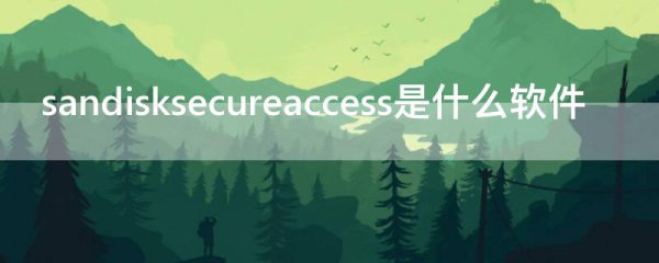 sandisksecureaccess是什么软件