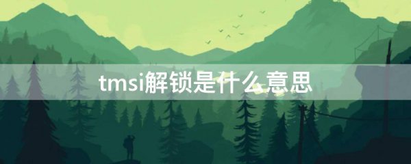 tmsi解锁是什么意思