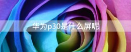 p30是什么屏幕 华为p30是什么屏呢