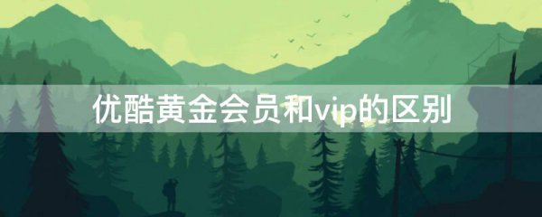 优酷黄金会员和vip的区别