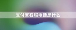 支付宝客服有电话吗 支付宝客服电话是什么