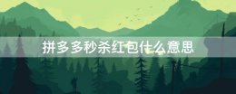 拼多多秒杀红包什么意思 拼多多天天领现金的秒杀红包是什么意思