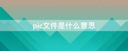 pic全称是什么 pic文件是什么意思