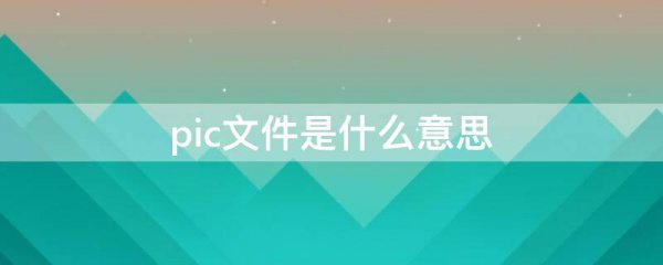 pic文件是什么意思