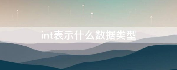 int表示什么数据类型