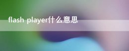 flash player什么意思