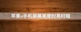 苹果x手机屏幕亮度时亮时暗 苹果x手机屏幕亮度一会儿亮一会儿暗