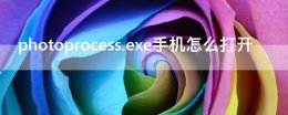 photoprocess.exe下载 photoprocess.exe手机怎么打开