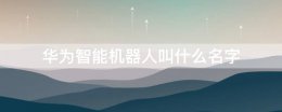 华为智能机器人叫什么名字 华为手机的智能机器人是叫什么名字