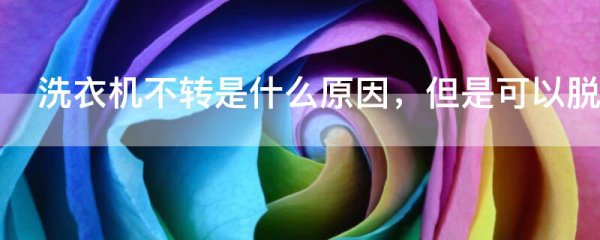 洗衣机不转是什么原因 但是可以脱水