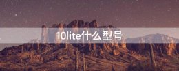 10lite什么型号 华为honor10lite什么型号