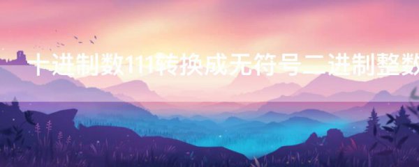 十进制数111转换成无符号二进制整数是
