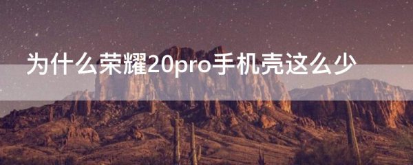 为什么荣耀20pro手机壳这么少