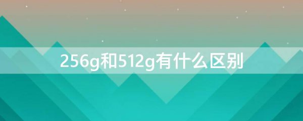 256g和512g有什么区别
