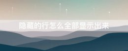 隐藏的行怎么全部显示出来 金山文档隐藏的行怎么全部显示出来