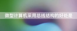 在微型计算机中常用的总线有 微型计算机采用总线结构的好处是