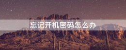 忘记开机密码怎么办 ipad忘记开机密码怎么办