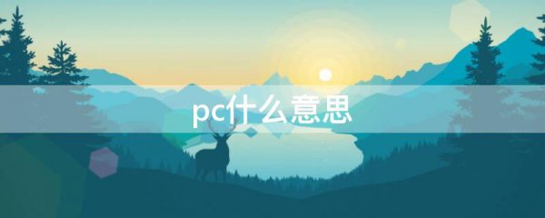 pc什么意思