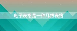 电子表格是一种几维表格 excel2010是一种几维表格